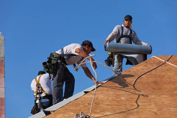 Roof Gutter Cleaning in Central Garage, VA
