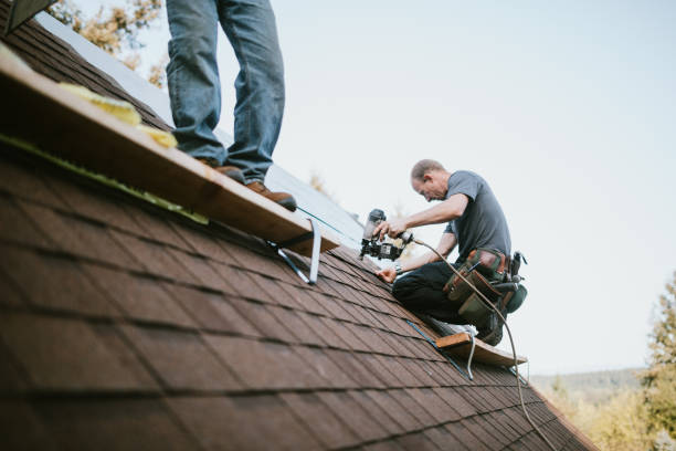 Best Roof Gutter Cleaning  in Central Garage, VA